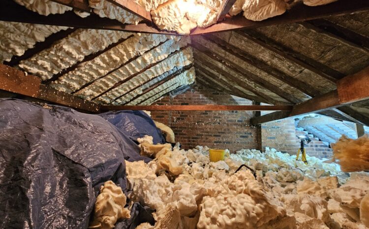  Spray Foam Removal